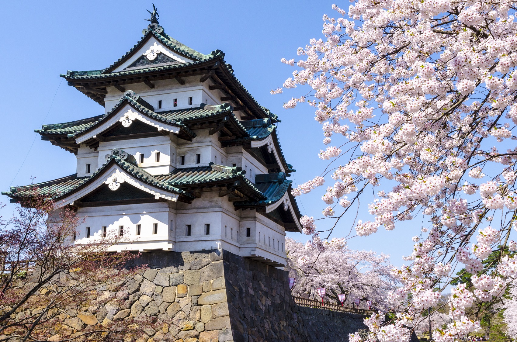 hirosaki-castle-dreamy-spring